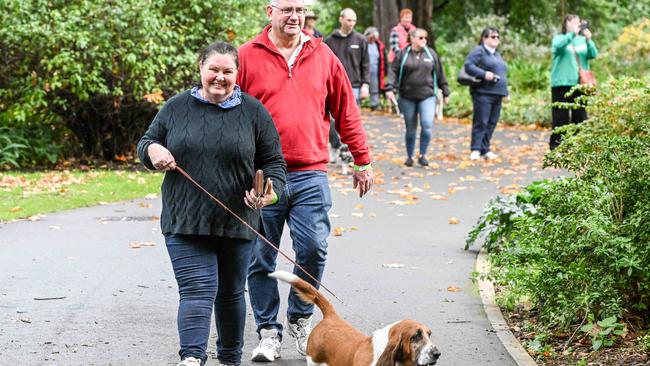 Million Paws Walk at Adelaide Botanic Gardens. Picture: Brenton Edwards