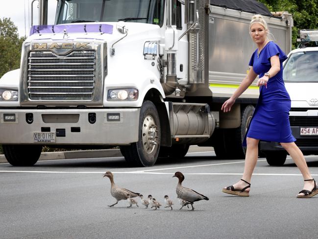 Riki-Lee Crane helps the ducks across the road. Picture: Steve Pohlner