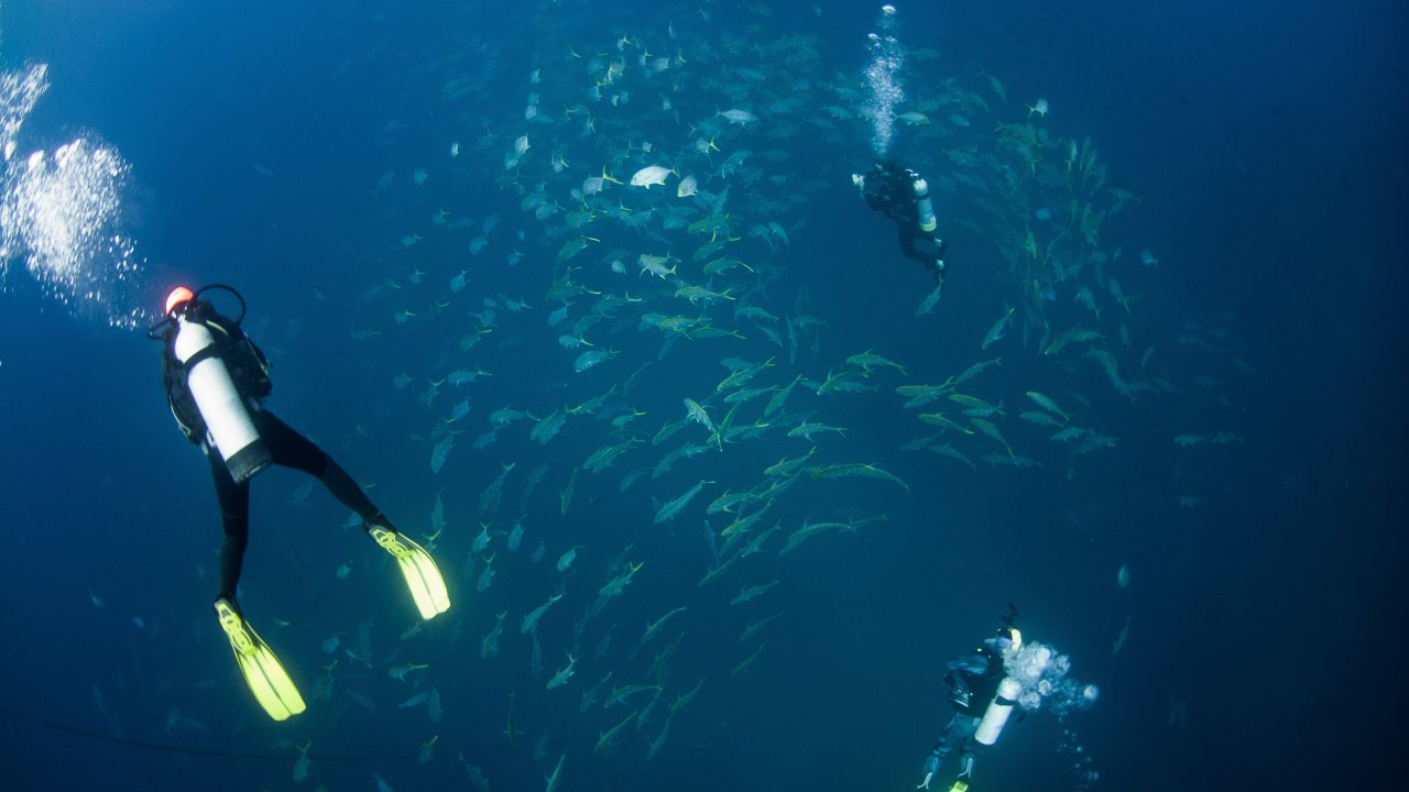 Man dies while diving at popular Queensland tourist location