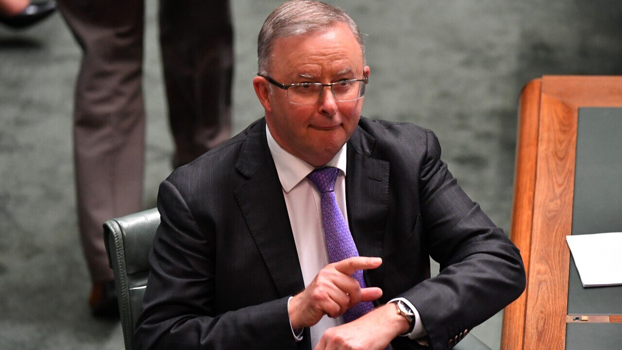Albanese wants to 'run dead on every issue' and hope the Morrison government 'expires'
