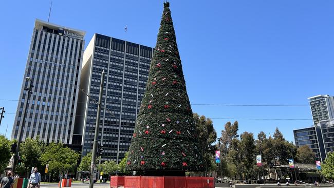 The tree in Victoria Square.