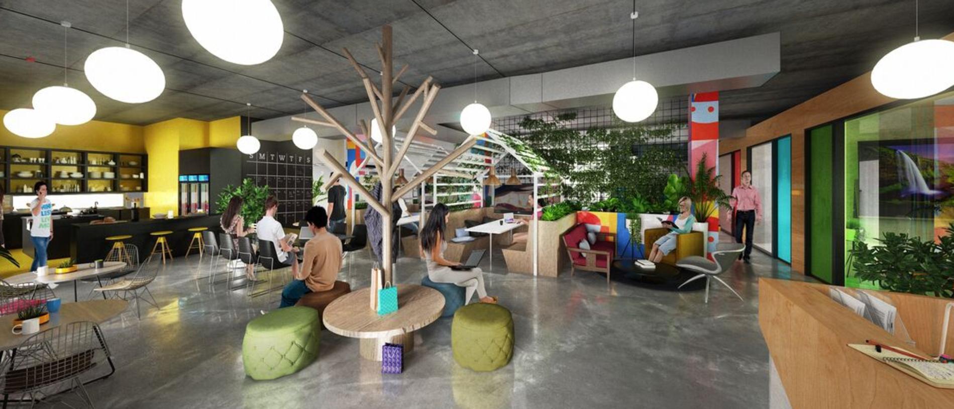 An artist impression of the Cohort co-working space and startup incubator at the Gold Coast Health and Knowledge Precinct.
