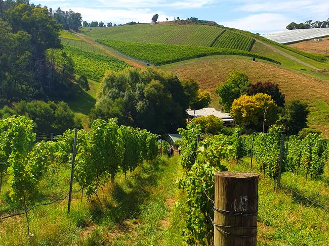 Henschke winery. Picture: TWAM Supplied