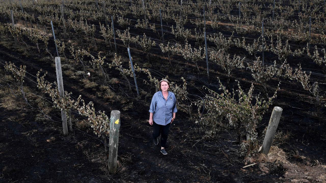 Charred ground sprawls across the Barristers Block vineyard. Owner Jan Siemelink-Allen has vowed to rebuild. Picture: Tricia Watkinson