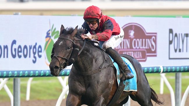 Young colt Bosustow wins the Gold Coast Guineas in honour of late Australian Rules footballer Peter Bosustow and surges into Group 1 Stradbroke Handicap contention. Picture: Bethany Allday, Trackside Photography.