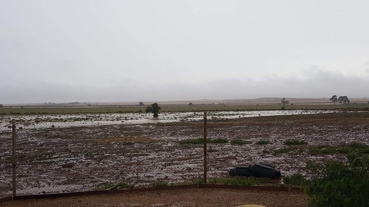 Flooding at Yongala. Picture: Tracy Anne Jonas