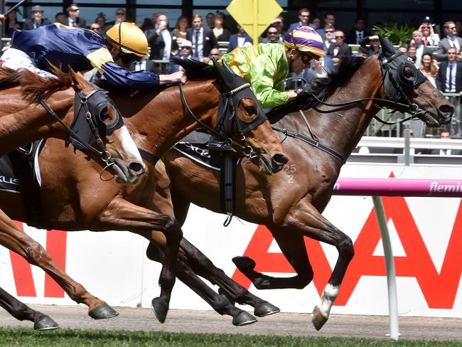 Cismontane bravely holds off all-comers to win the Lexus Stakes. Picture: Jay Town