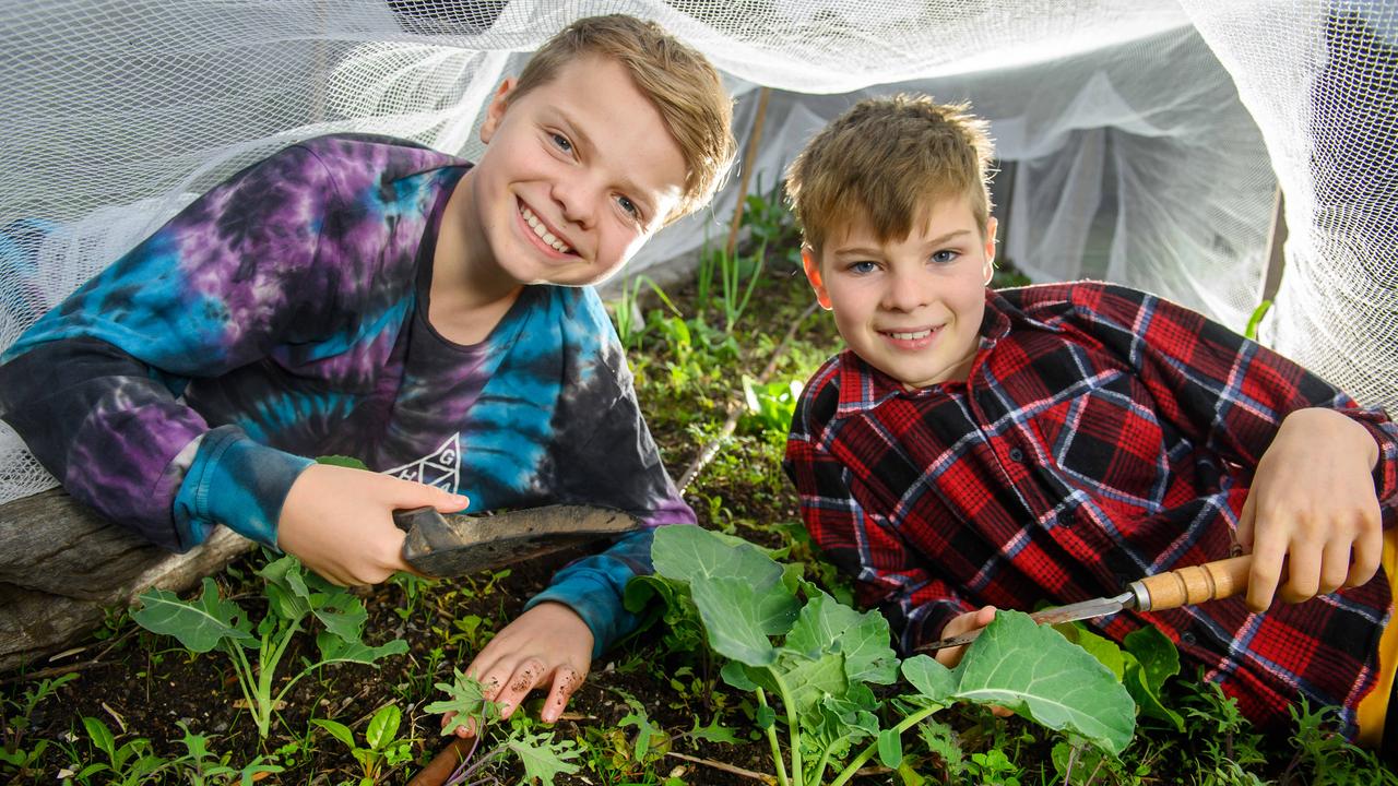 gardening-ideas-how-to-get-children-interested-in-growing-their-green