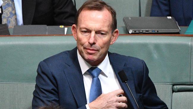 There’s no point trying to find a consensus with Labor on energy, former prime minister Tony Abbott says.