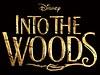 into the woods thumbnail