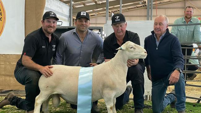 Brady Bowen, James Hardwick and Wicus Cronje of Deepdale Dorpers with their supreme exhibit at the national show in Dubbo, NSW, and Dorper Sheep Society Of Australia 2024 Show judge David Curtis.