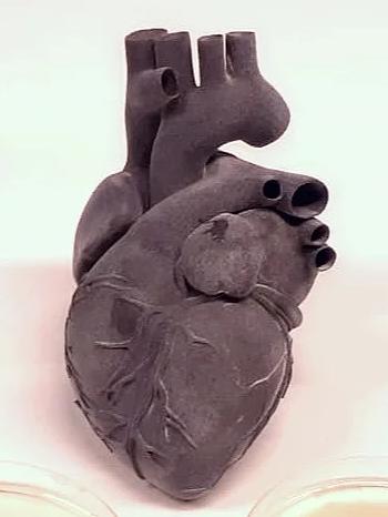 A mini-heart, which could be an alternative to a transplant.