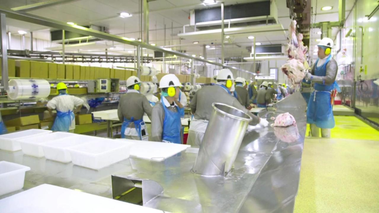 Teys Australia meat processsing branch in Naracoorte, South Australia. Picture: ABC News