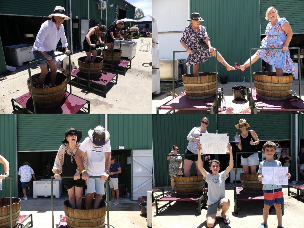 Kingsley Grove Estate's 3rd Annual Grape Stomp was a grape success. Photo/Holly Cormack.