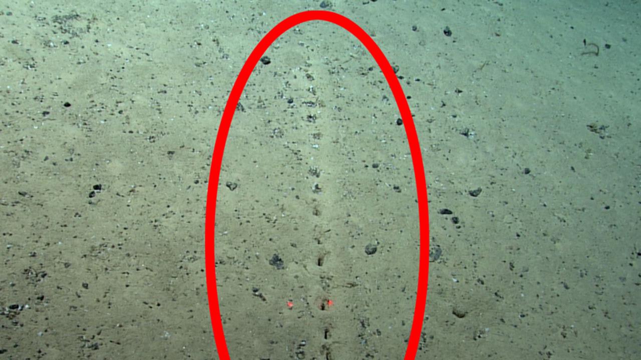 The strange holes on the bottom of the ocean floor.