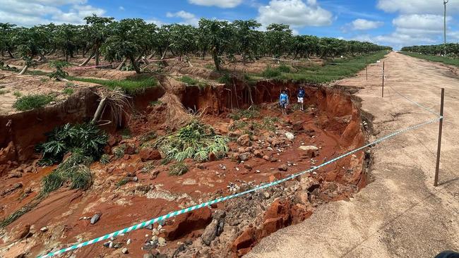 Skybury farms in Mareeba, Far North Queensland, suffered extensive damage in the wake of Cyclone Jasper. Picture: Facebook