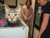 No-kill animal shelter finally finds a home