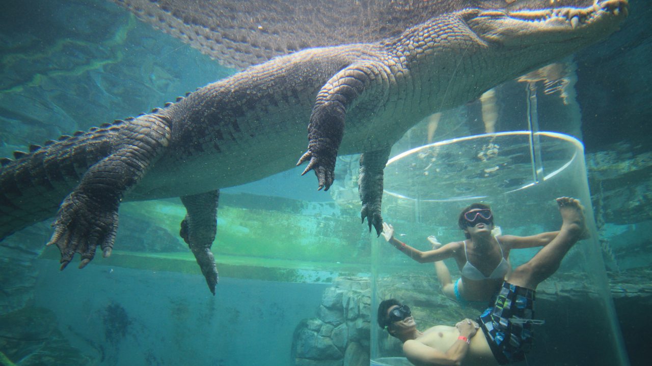 10 Top End outdoor family experiences: Matt Wright’s top things to do ...