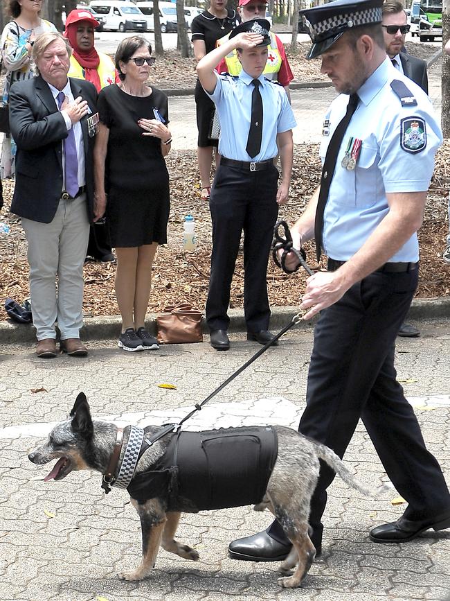 Blue heeler Archibald was among thousands of mourners at the service. Picture: NCA NewsWire / John Gass