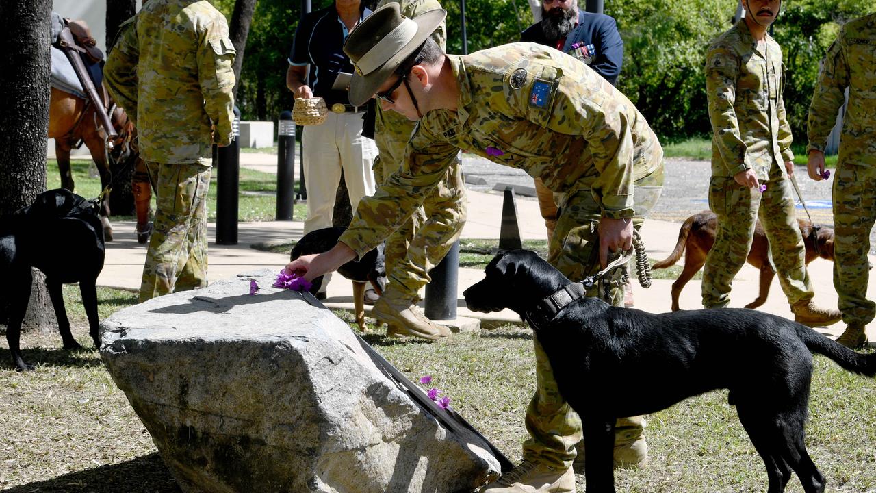 War Animal Day service at Thuringowa RSL. Lance Corporal Tom Page, with EDD Wilbur from 3CER, was one who laid a purple poppy to pay his respect to animals in service. Picture: Evan Morgan