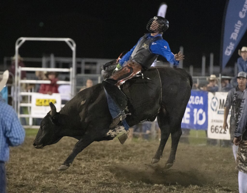 Jack Watt rides in the top eight chute out at the Lawrence Twilight Rodeo. Picture: Adam Hourigan