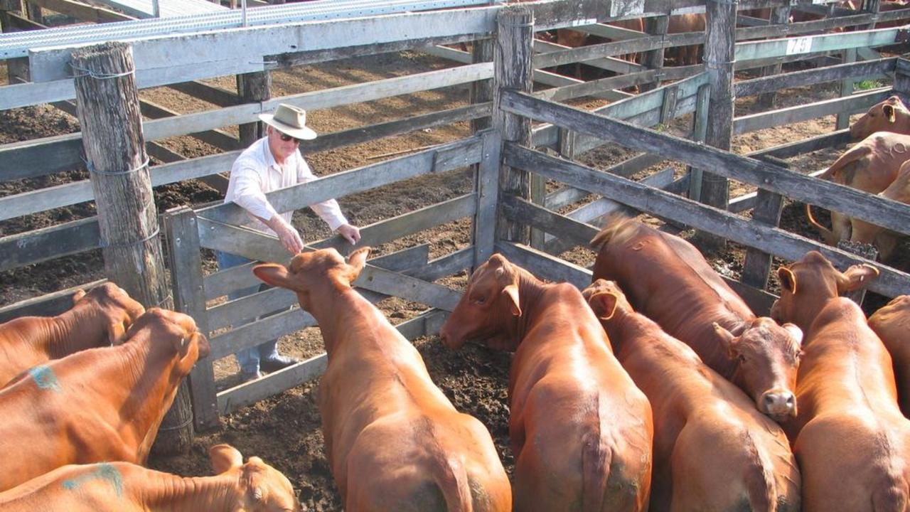 The federal department of agriculture is predicting broadscale farm incomes to fall by 41 per cent due to drier conditions and lower prices for agricultural commodities.