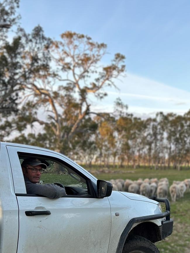 Lachy Day from Bordertown, SA, has created a new shedding prime lamb breed known as White Baldies.