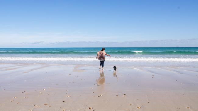 Aldinga Beach. Picture: Nick Clayton