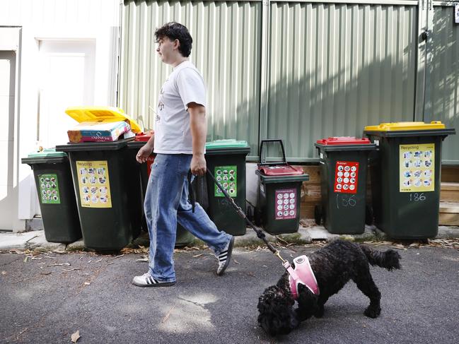 DAILY TELEGRAPH 8TH FEBRUARY 2025**Embargo Sunday for Monday feb 10, 2025** Pictured on a lane way next to his house in Forest Lodge is Nicholas Lovell with his dog Whinnie.Sydney City Council is looking to change bin collection from weekly to fortnightly.Picture: Richard Dobson