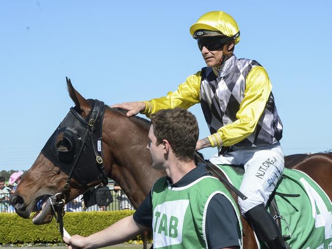 Zoomorphic wins at Kembla Grange August 31, 2024. Picture: Bradley Photos