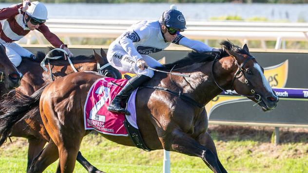 Overpass racing to the narrowest of victories in last year’s The Quokka