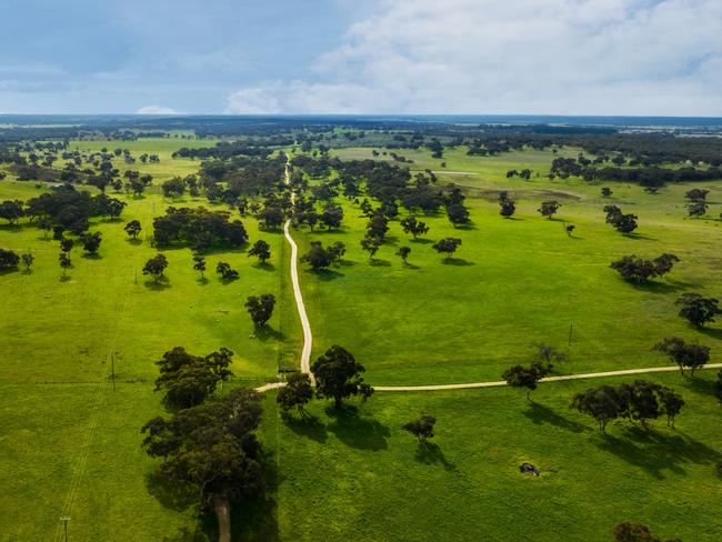 Fairview grazing property for sale in Lucindale. Picture: Supplied by Colliers