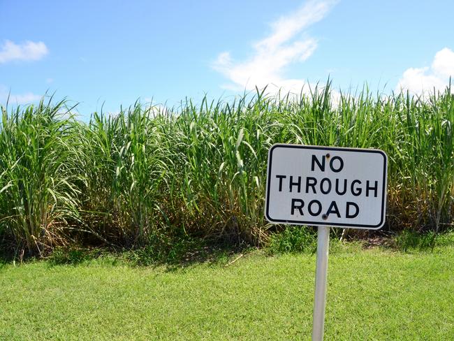 Bob Katter says sugar cane absorbs 72 tonnes of CO2 per hectare each year. Picture: Cameron Bates