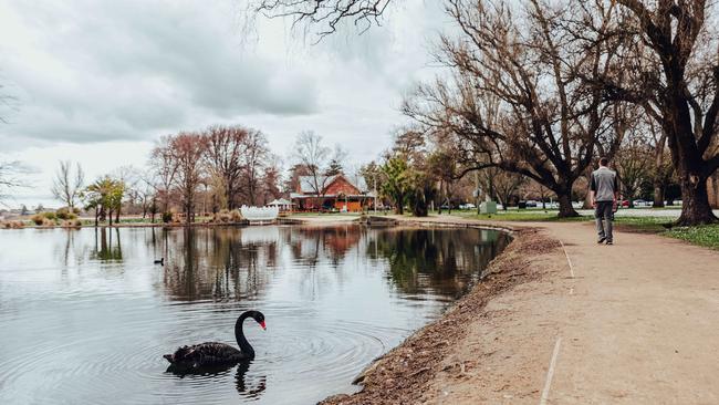 The Lake Wendouree track is more popular than ever, with increasing numbers of residents using it for their daily exercise under COVID-19 restrictions. Picture: Chloe Smith