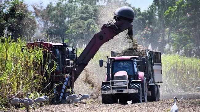 The Herbert River sugar-cane harvest at Toobanna south of Ingham, Hinchinbrook Shire. Please attribute. Picture: Cameron Bates