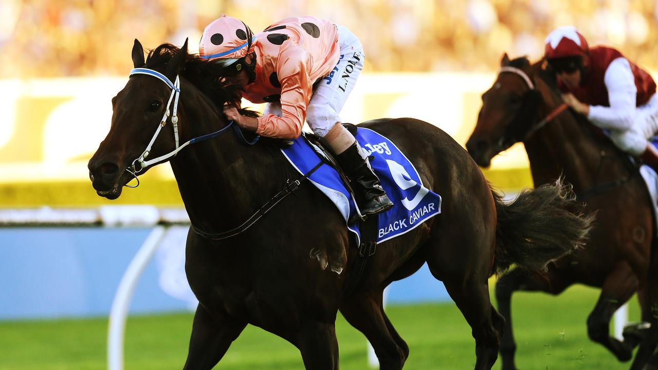 Royal Randwick Racecourse, David Jones Australian Derby Day. Darley T J Smith Stakes. Race 9 winner number 9 Black Caviar ridden by Luke Nolan.