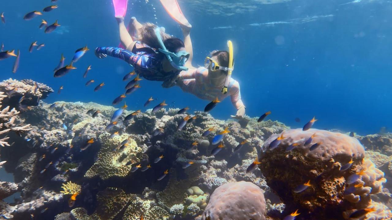 Screengrabs from the Crisafulli Governments bold new tourism brand, That Holiday Feeling, as the first major milestone in Queensland’s 20-year plan to grow the State’s visitor economy. The campaign invites visitors to explore iconic destinations like the Whitsundays, the Great Barrier Reef, Gold Coast, Brisbane and the Outback, while encouraging deeper discovery across the State.