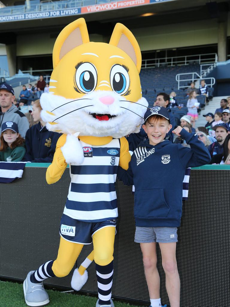 Geelong Cats Open Training Session