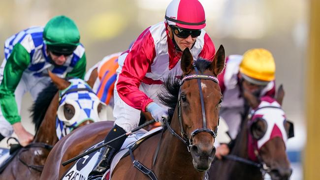 Mackinnon Stakes winner Arcadia Queen is also an equal favourite in the opening betting on the 2021 All-Star Mile. Picture: Scott Barbour