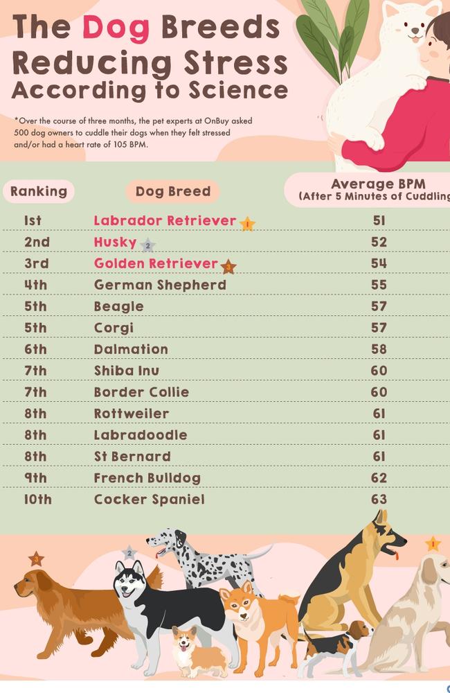 Most relaxing dog list