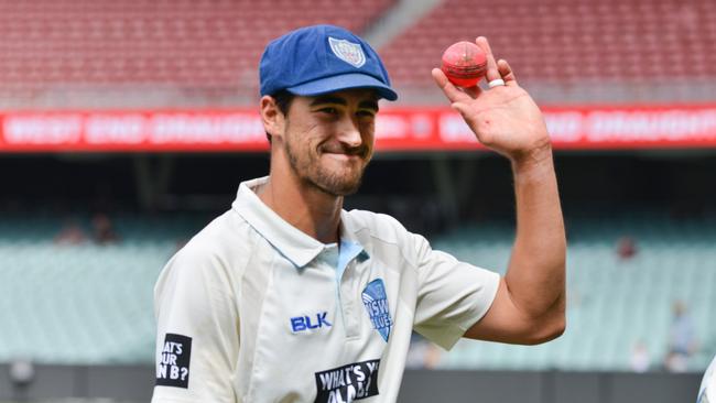 Mitchell Starc celebrates his 8 wicket-haul againsts Adelaide.