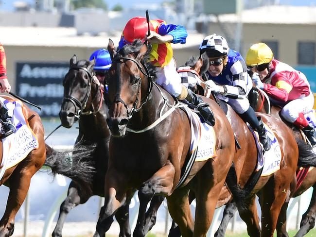 Eleven Eleven hit the front right on the line to win the Magic Millions Cup. Picture: Grant Peters-Trackside Photography