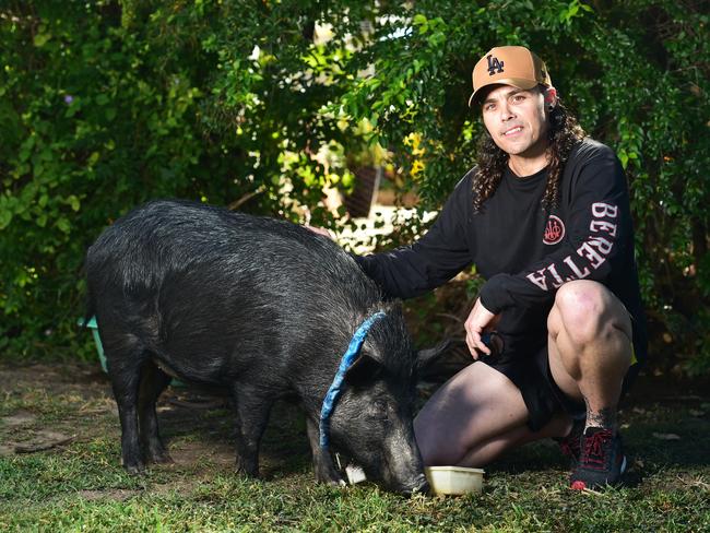 Daniel English with his pet Razerback pig, Missy. Picture: Shae Beplate.