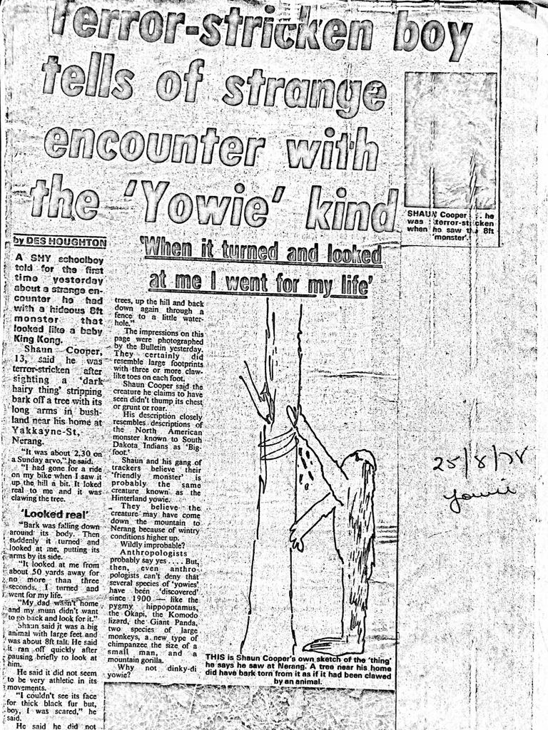 Terror-stricken boy tells of strange encounter with the 'Yowie' kind. Published in the Gold Coast Bulletin on August 28, 1978.