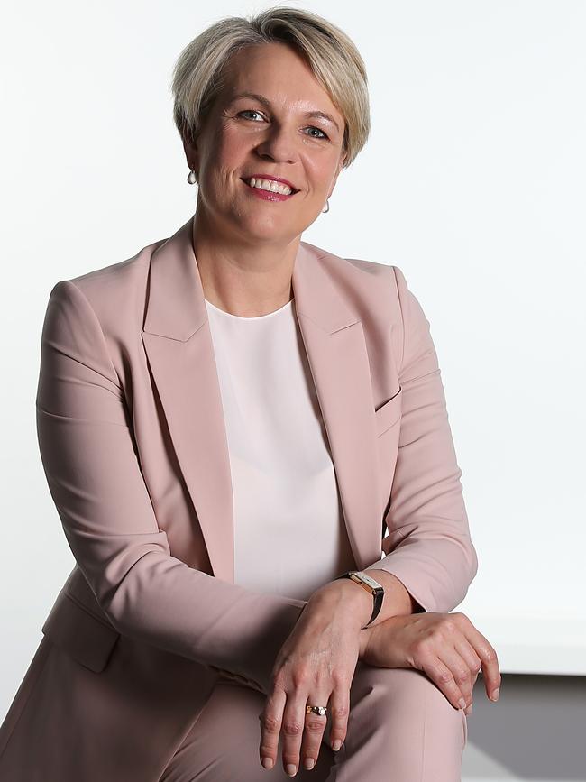 Federal Opposition Education spokeswoman Tanya Plibersek.