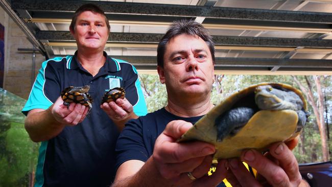 Neville Parkes and Shane Davies are the faces behind Turtle Rescues NSW. Picture: Phil Rogers