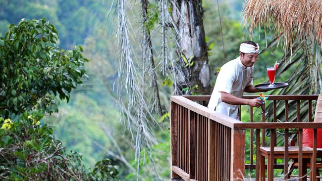 Hand out in the tree tops at the Royal Pita Maha Hotel.