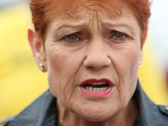 Senator Hanson said child support payments should be based on each parent’s base income, after tax, instead of their gross taxable income. Picture: Tim Hunter