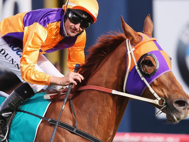 Jockey Dwayne Dunn eases down on Our Boy Malachi after he surged late to win the Caulfield Sprint. Picture: Getty Images