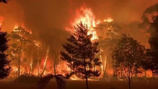 Huge flames at Mt Tomah within the Blue Mountains national park Picture: NSW RFS